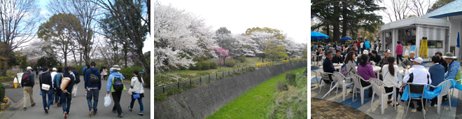 昭和記念公園